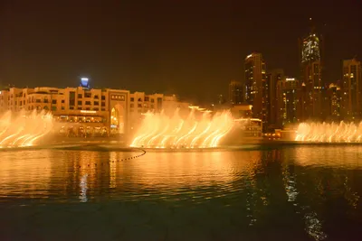 DSC_4131 (Large).JPG